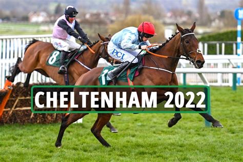 cheltenham 2022 betting